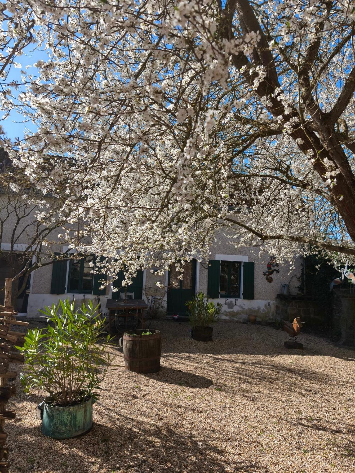 Le Cottage Des Sablons Pres Du Zoo De Beauval Saint-Romain-sur-Cher Ngoại thất bức ảnh